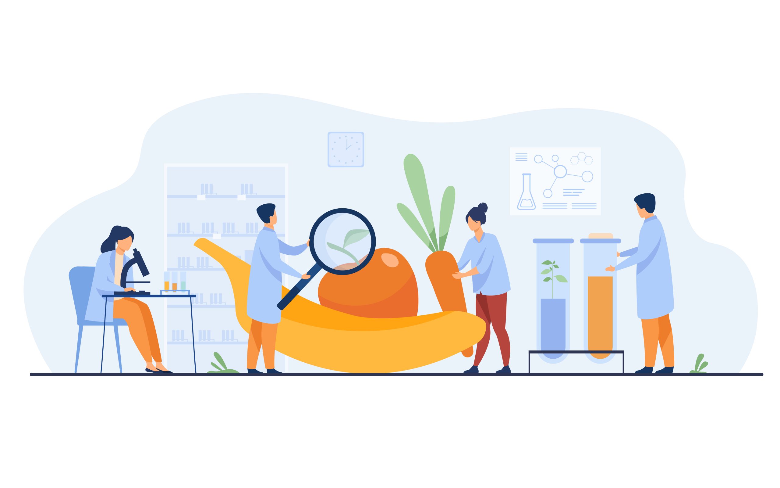 新州食品行业监管体系解析 ——不同类型食品企业适用哪些合规规格？